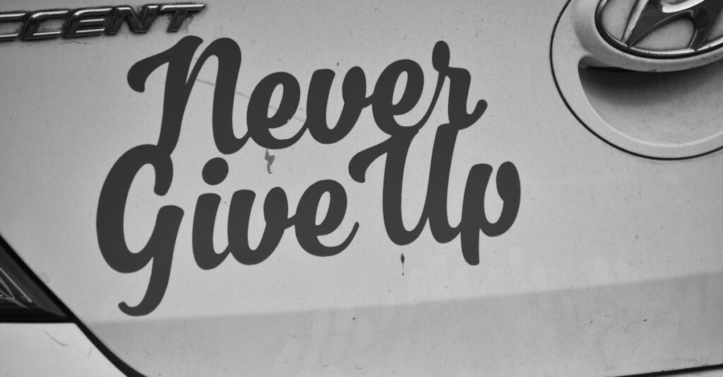 Black and white image of 'Never Give Up' decal on a Hyundai car.