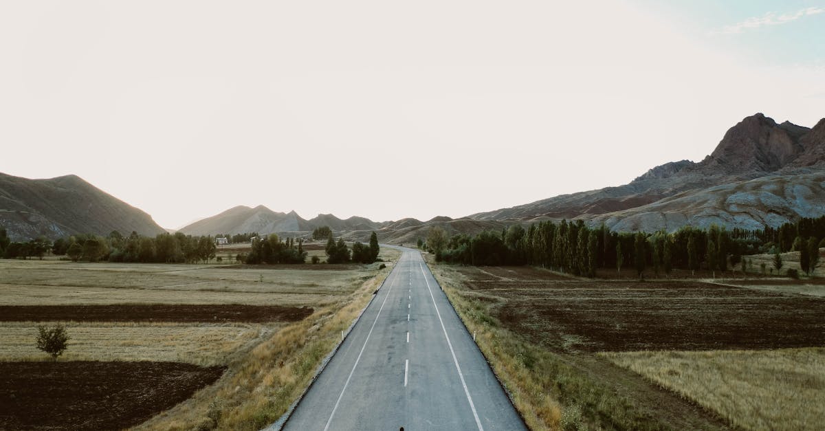 A lone person walks on a rural highway surrounded by fields and mountains under a vast sky.